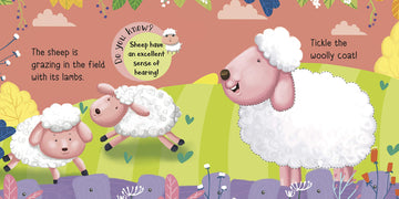 Board Book-Touch and Feel: Farm Friends: Touch and feel series
