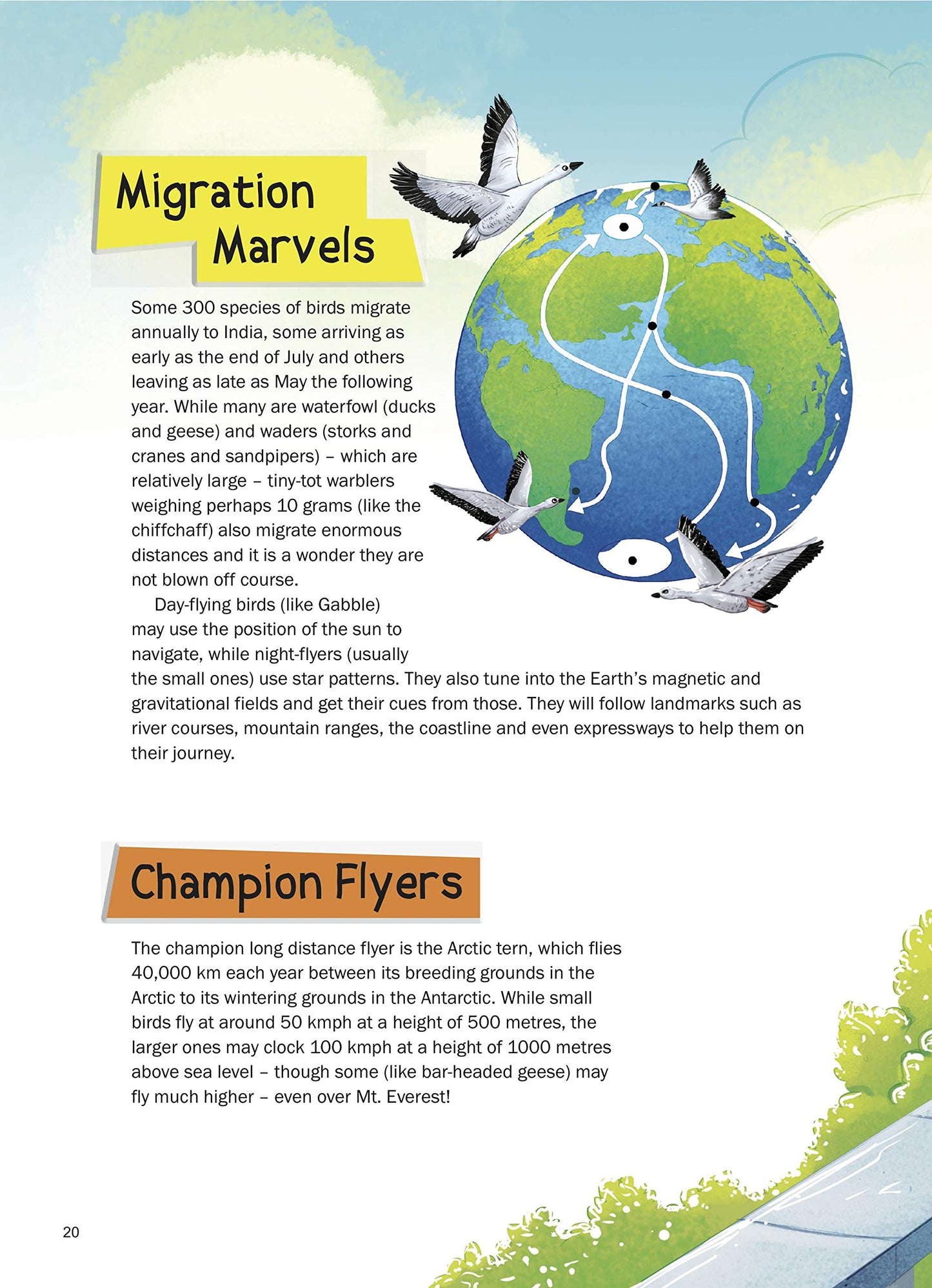 365 Nature Stories: Tales of Animals, Plants, Ecosystems & Natural Wonders | Daily Inspirational Stories for Kids & Families | Illustrated Storybook About Wildlife & the Environment | Ages 8+
