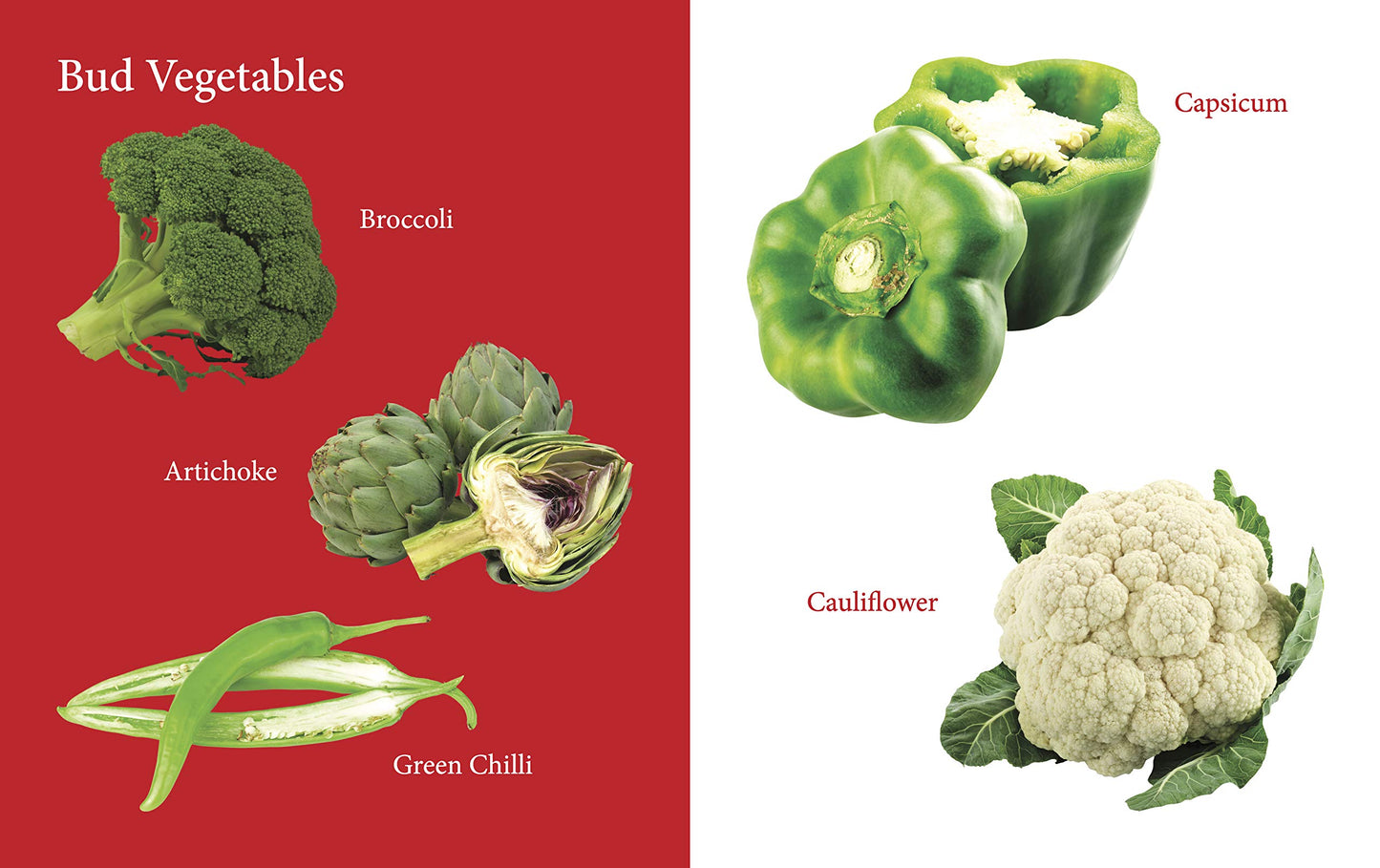 My First Book of Vegetables: Fun & Educational Board Book for kids | Early Learning Made Joyful | Realistic Pictures for Easy Recognition | Healthy Eating through Fun Visual Learning | First Step into Nature’s Garden