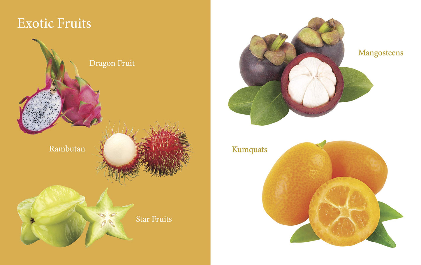 My First Book of Fruits for Children: Fruit Names with Realistic Images | Early Word Recognition | Fun Introduction to Healthy Eating | Learn and Name Fruits with Joy | Colourful Learning Journey for Little Minds
