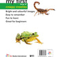 My First Book of Creepy Crawlies: Learn World of Insects & Bugs | Explore Ants, Beetles, Butterflies, Spiders & More | Early Nature Learning with Bright Pictures & Simple Names | Nature Awareness | Easy Read-Aloud