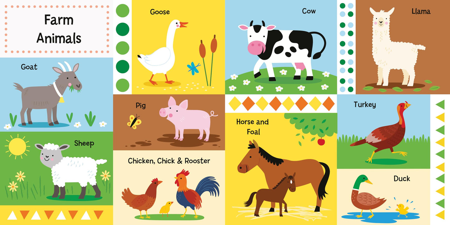 My Big Book of Animals