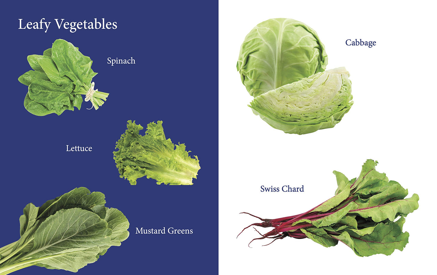 My First Book of Vegetables: Fun & Educational Board Book for kids | Early Learning Made Joyful | Realistic Pictures for Easy Recognition | Healthy Eating through Fun Visual Learning | First Step into Nature’s Garden