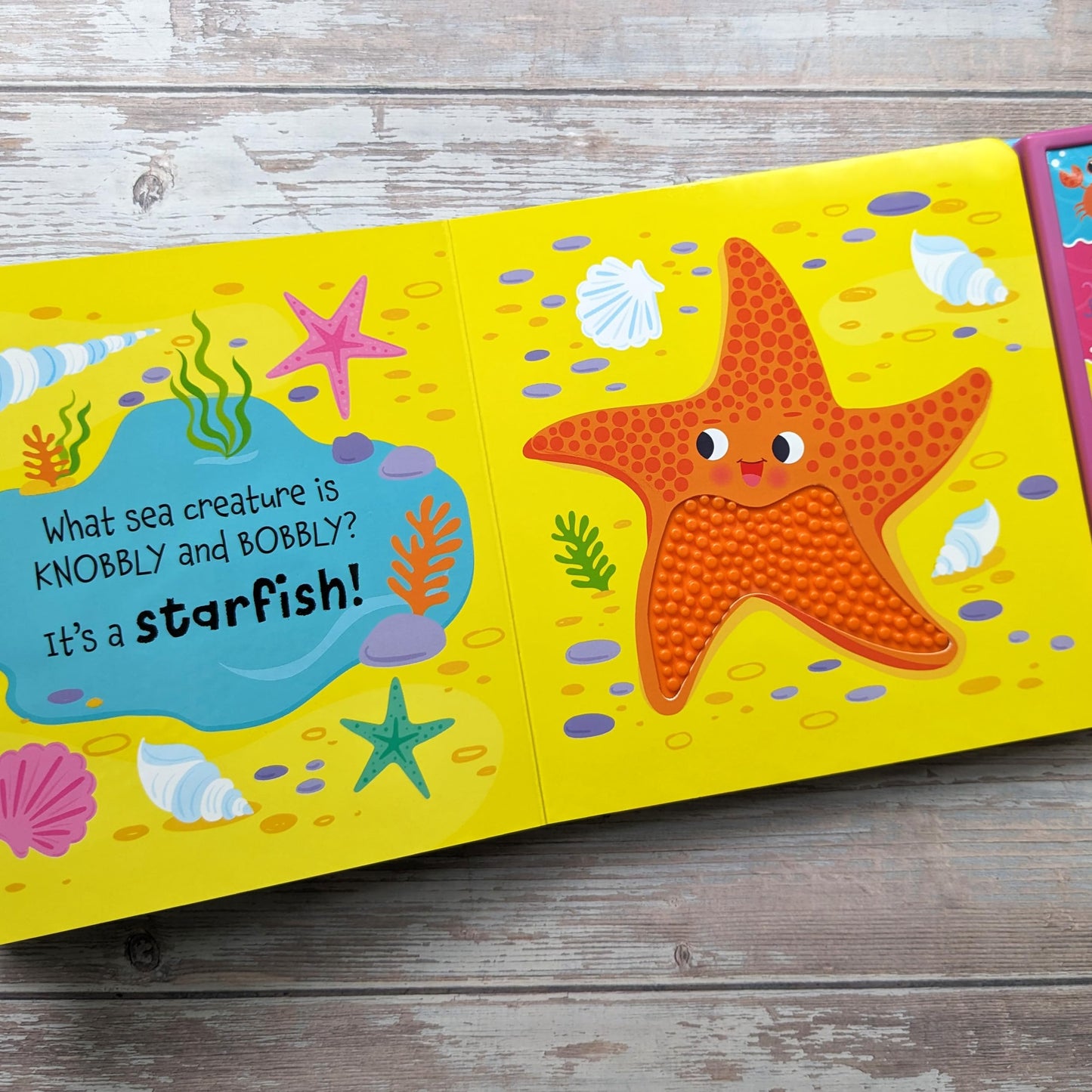 Touch & Feel in the Ocean [Board book] Ridley, Sophie and Wade, Sarah