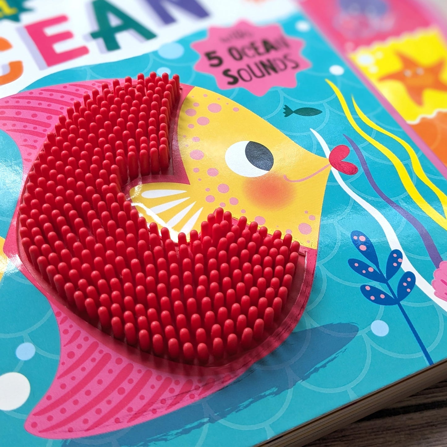 Touch & Feel in the Ocean [Board book] Ridley, Sophie and Wade, Sarah