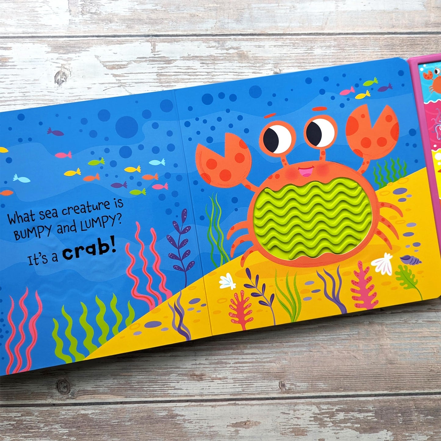 Touch & Feel in the Ocean [Board book] Ridley, Sophie and Wade, Sarah